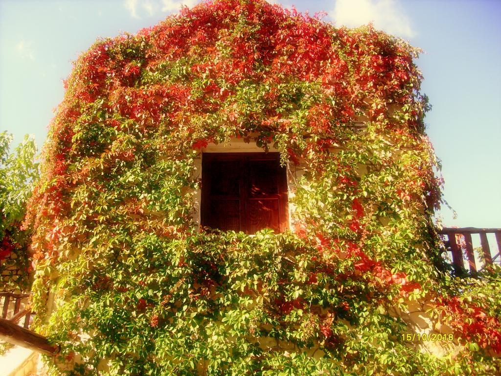 Maison d'hôtes Manoli'S House à Douliana Chambre photo